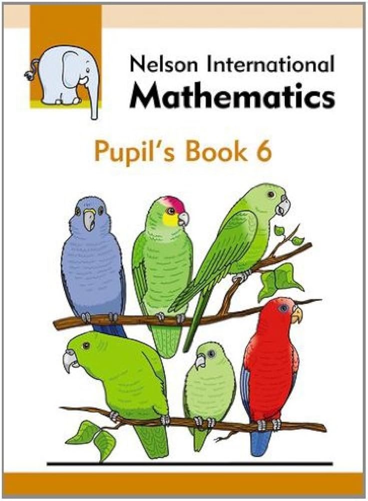 Nelson International Mathematics Pupils Book 6