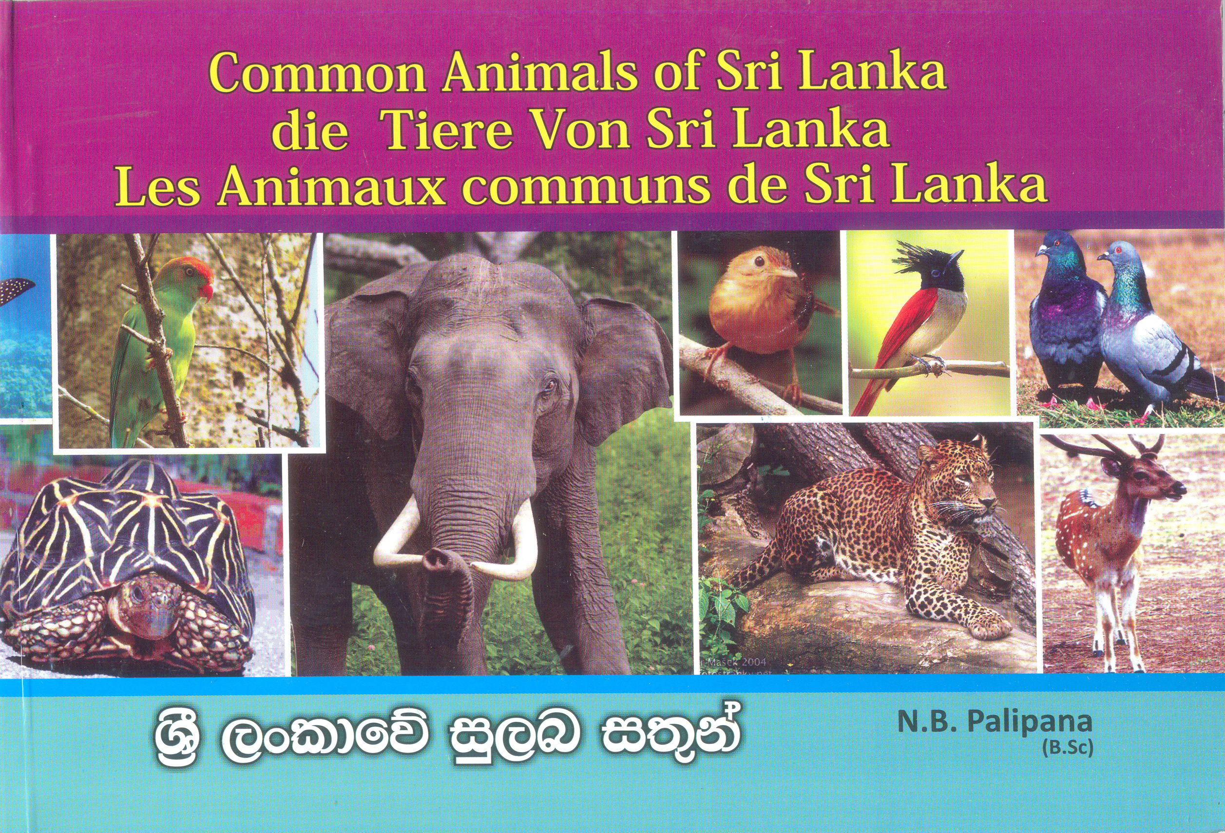 Common Animals Of Sri Lanka Dic Gemeisame Tiere Von Sri Lanka Les Animaux Communs De Sri Lanka