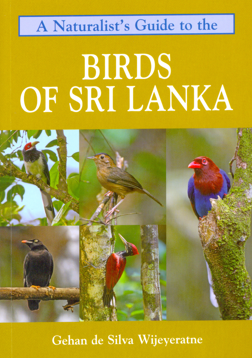 tamil story books in srilanka