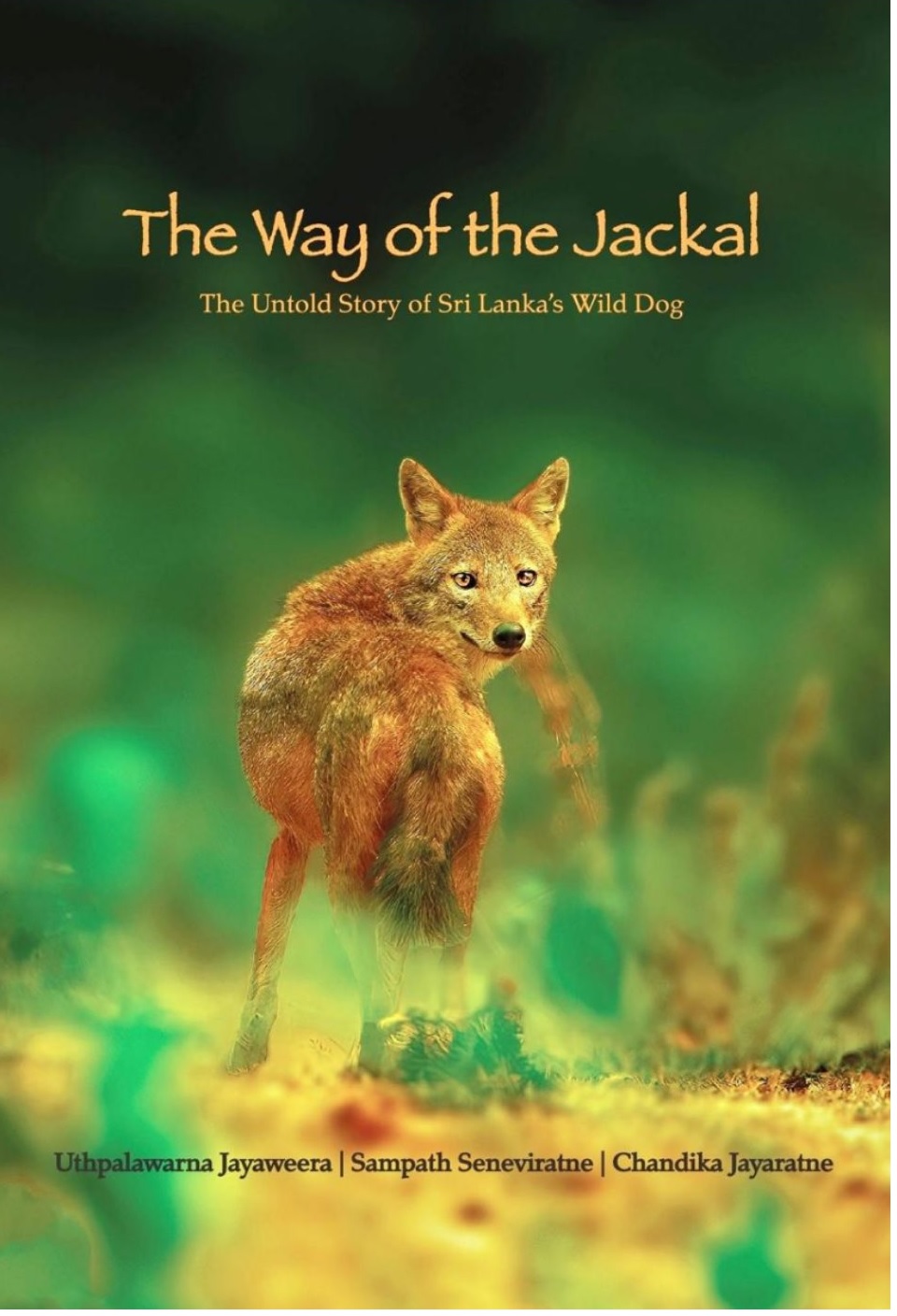 Way of the Jackal 