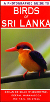 A photographic guide to Birds of Sri Lanka