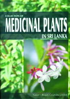 Collection Of Medical Plants in Sri Lanka