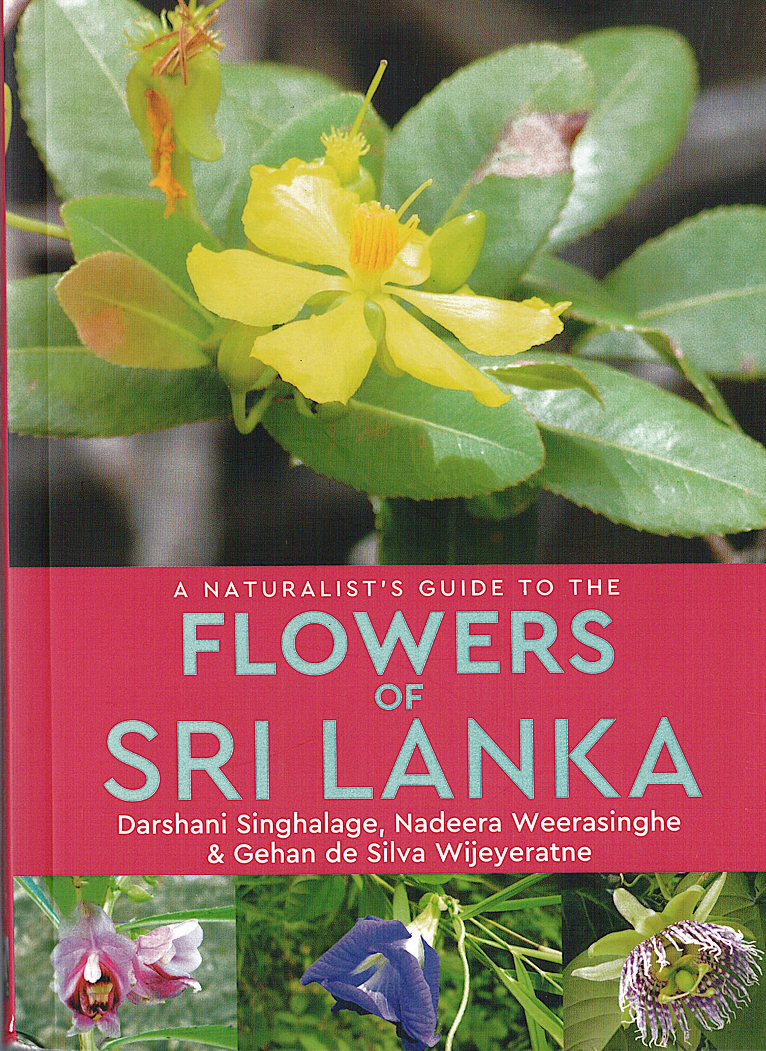 Naturalists Guide to the Flowers of Sri Lanka 