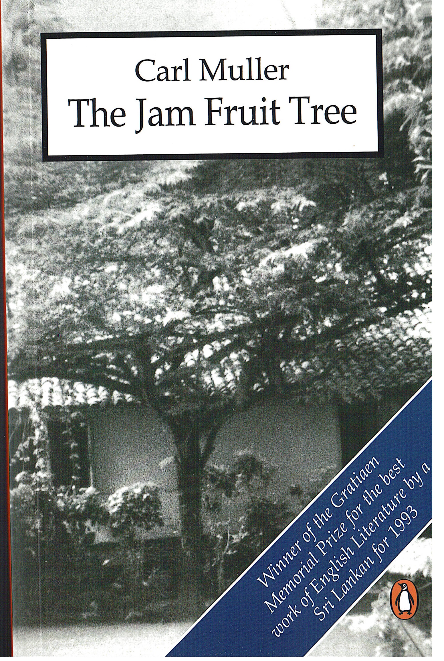 Jam Fruit Tree	