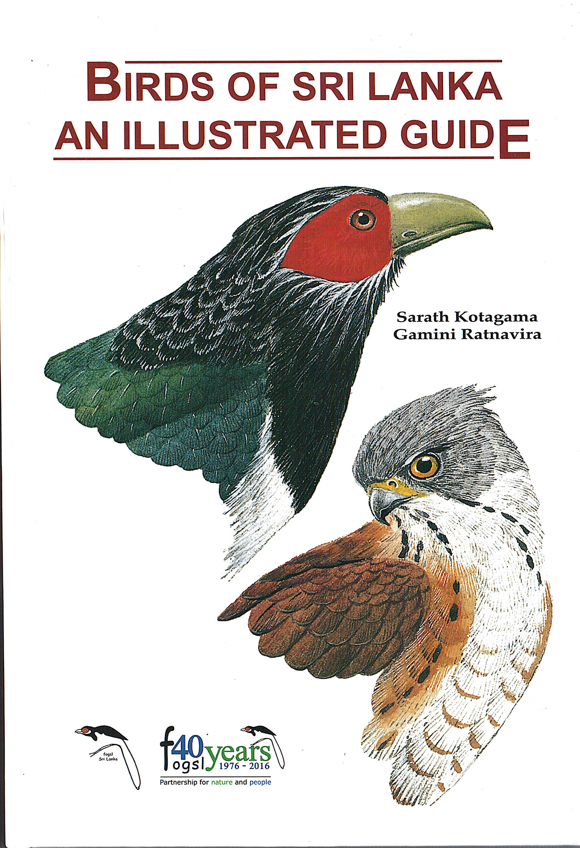 Birds of Sri Lanka An Illustrated Guide