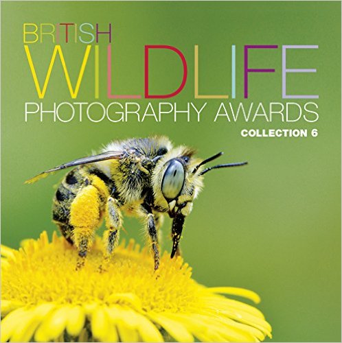 British Wildlife Photography Awards : Collection 6