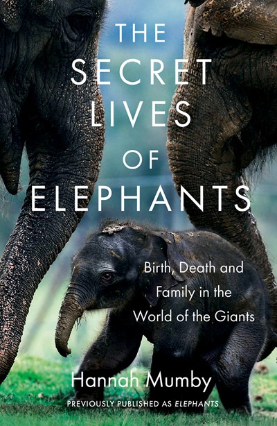 Secret Lives of Elephants : Birth, Death and Family
