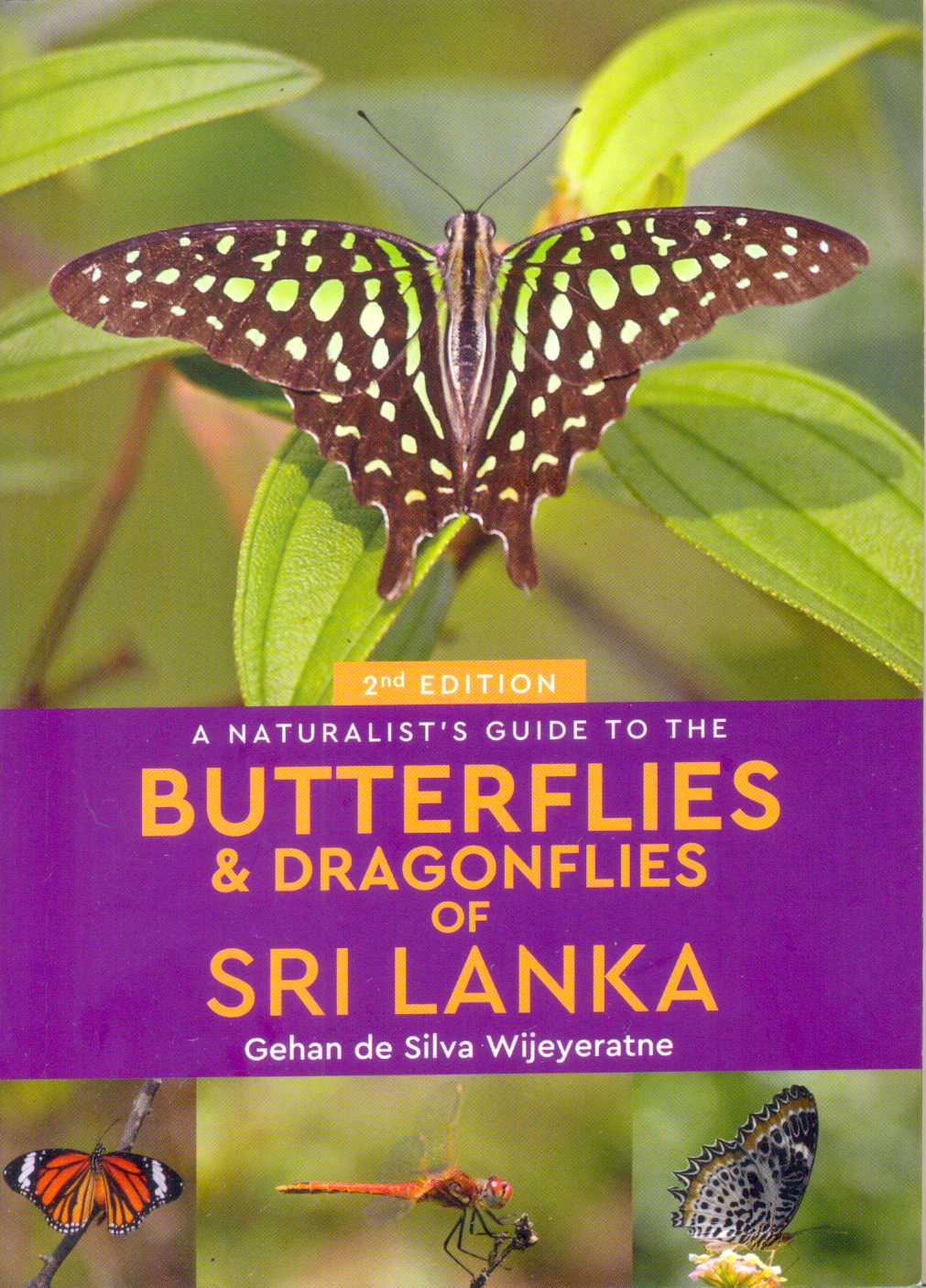 Sri Lanka Books Vijitha Yapa Buy Sri Lankan Books Online